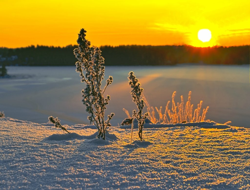 После зимы будет лето. Солнечный зимний день. Зима солнце. Морозное солнечное утро. Зимний закат.