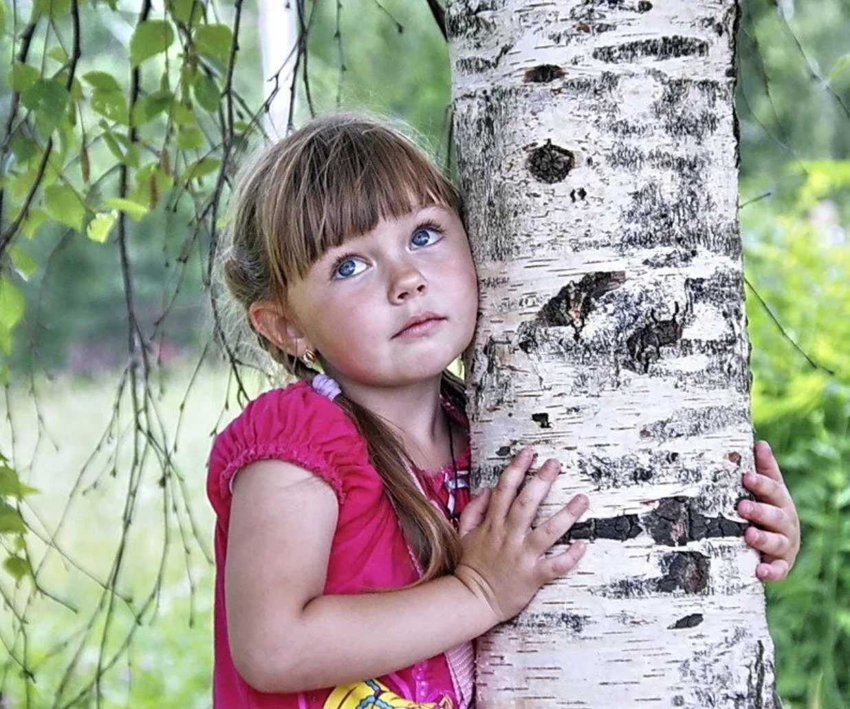 Обними березку. Девочка на дереве. Береза для детей. Девочка возле дерева.