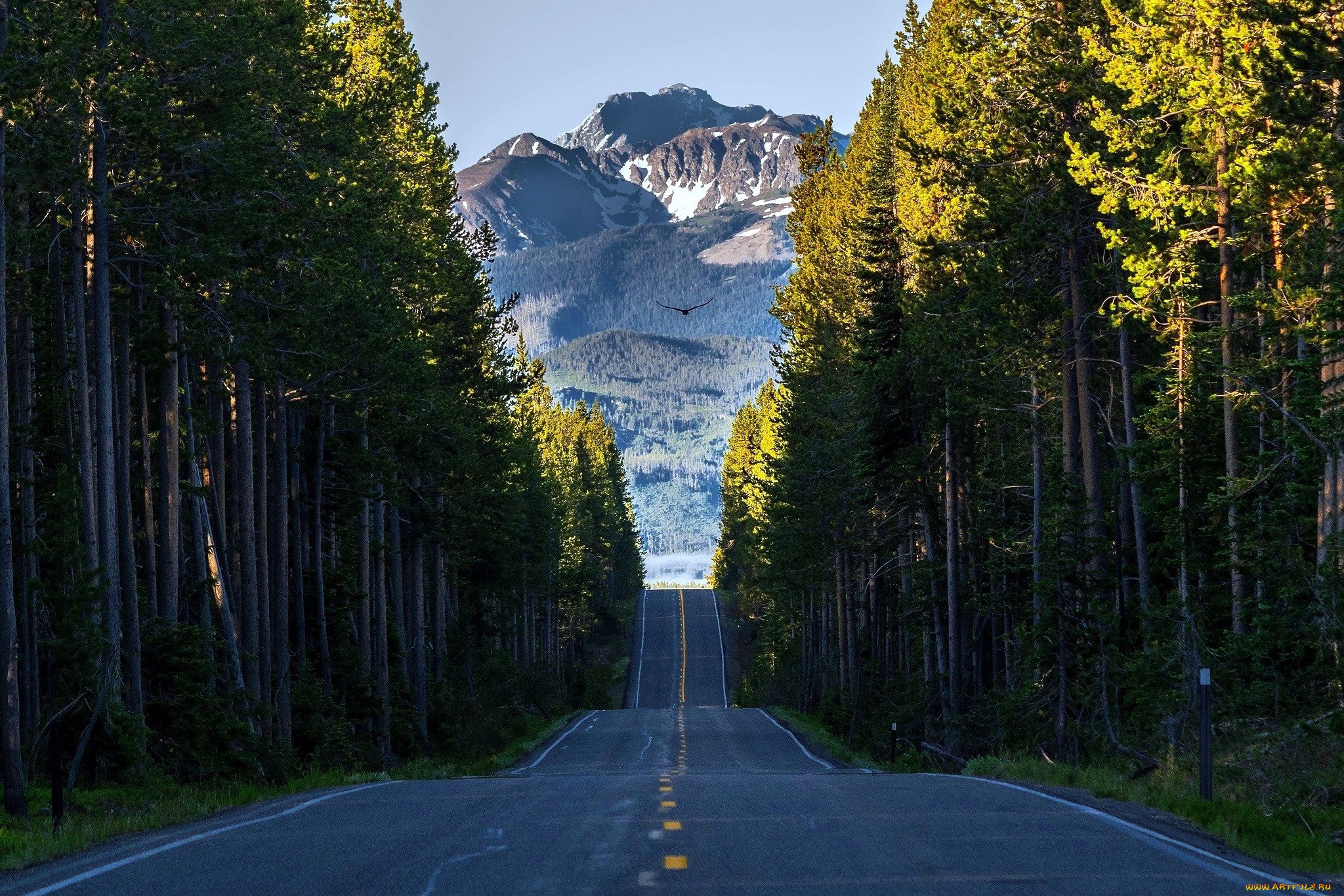 Дорога с красивым видом. Орегон штат Вашингтон лес. Вашингтон Форкс природа. Форкс штат Вашингтон природа. Штат Вашингтон Форкс зимой.