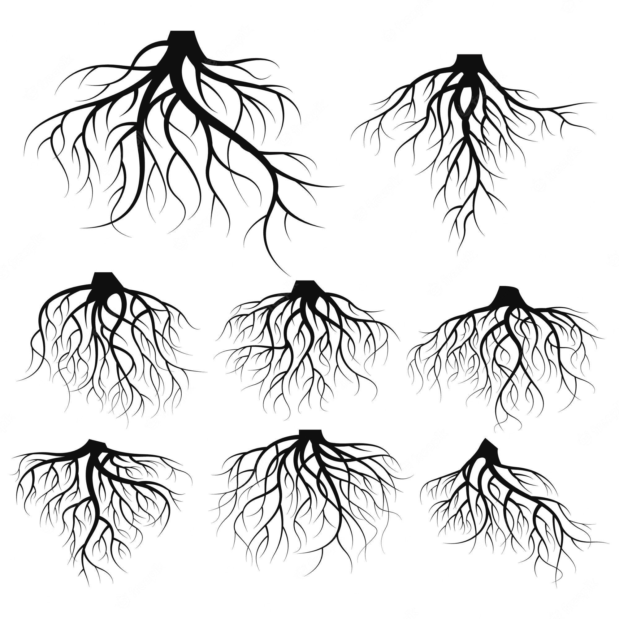 Чернила корень. Корни эскиз. Корни дерева. Корни вектор. Корневая система деревьев.