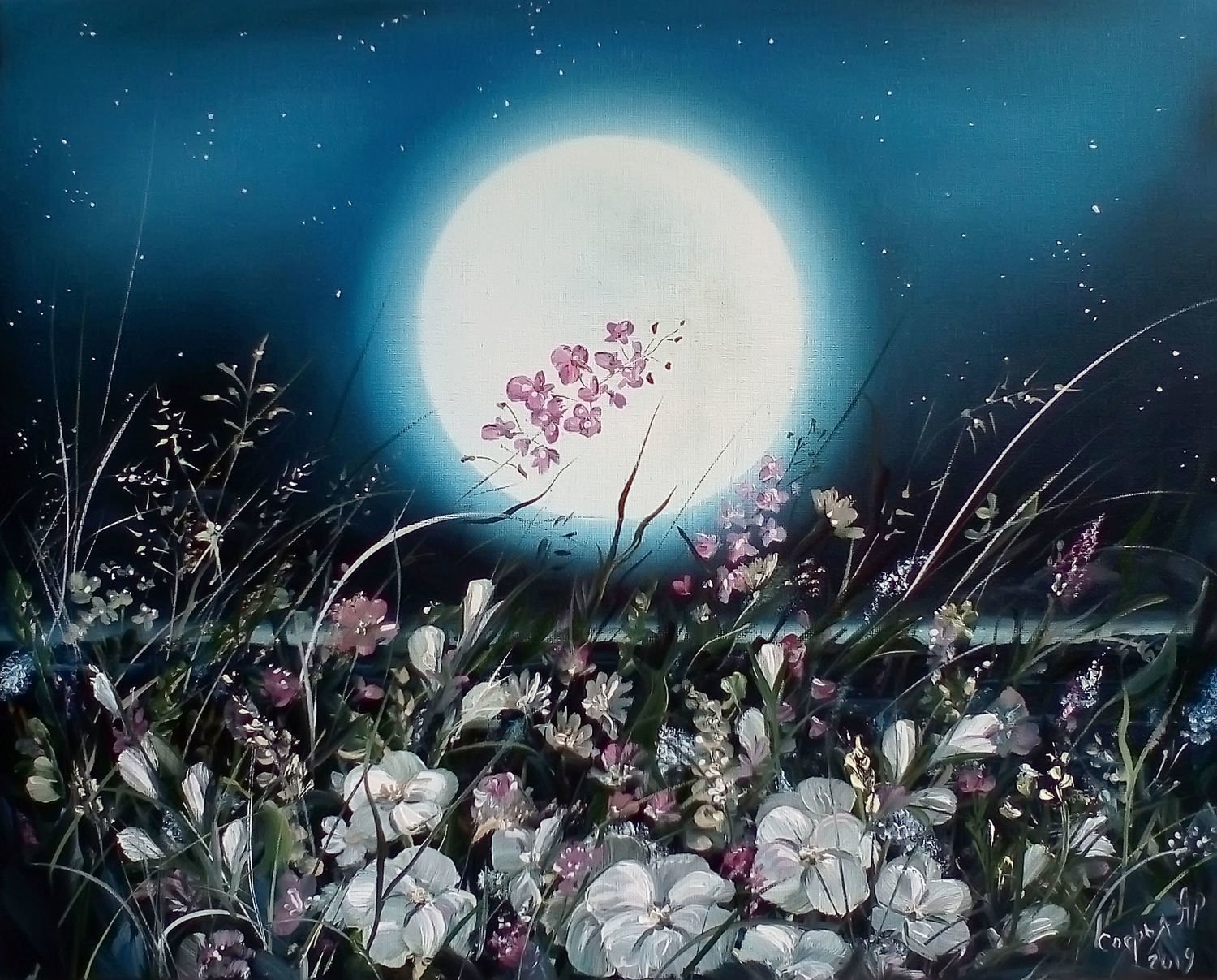 16 лет в лунах. Ночной цветок Луноцвет. Луна и цветы. Красивые цветы ночью.