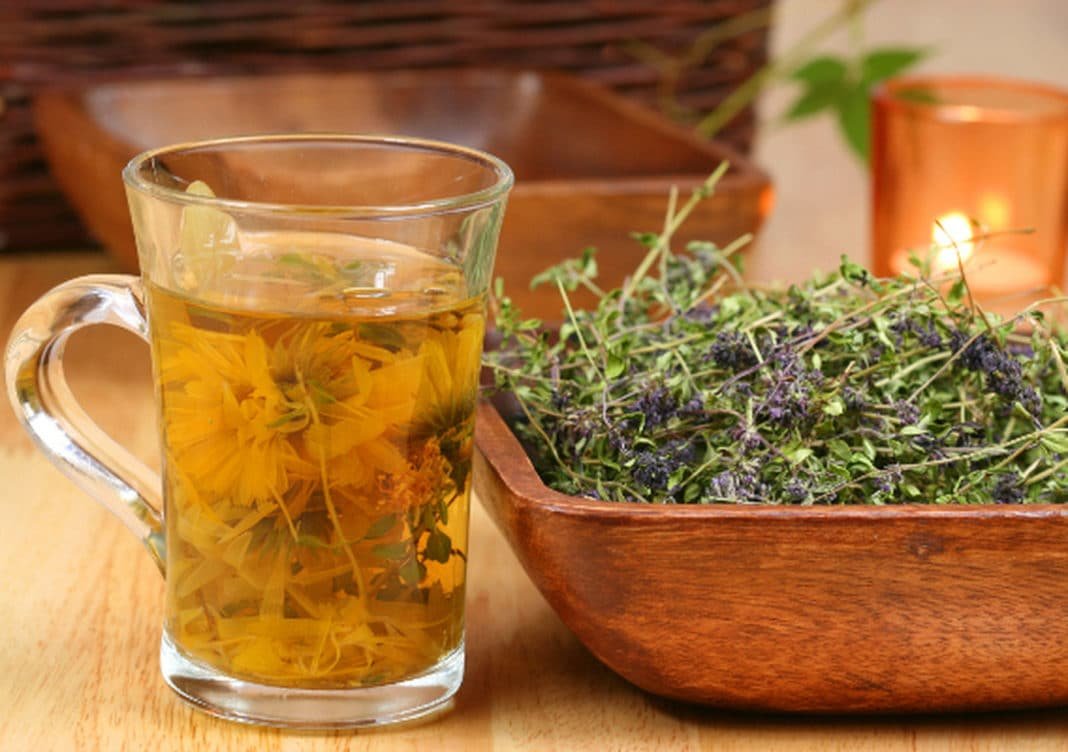 Какие травы можно пить вместо чая. Чабер чай. Настои из лекарственных растений. Отвар трав. Отвары из лекарственных трав.