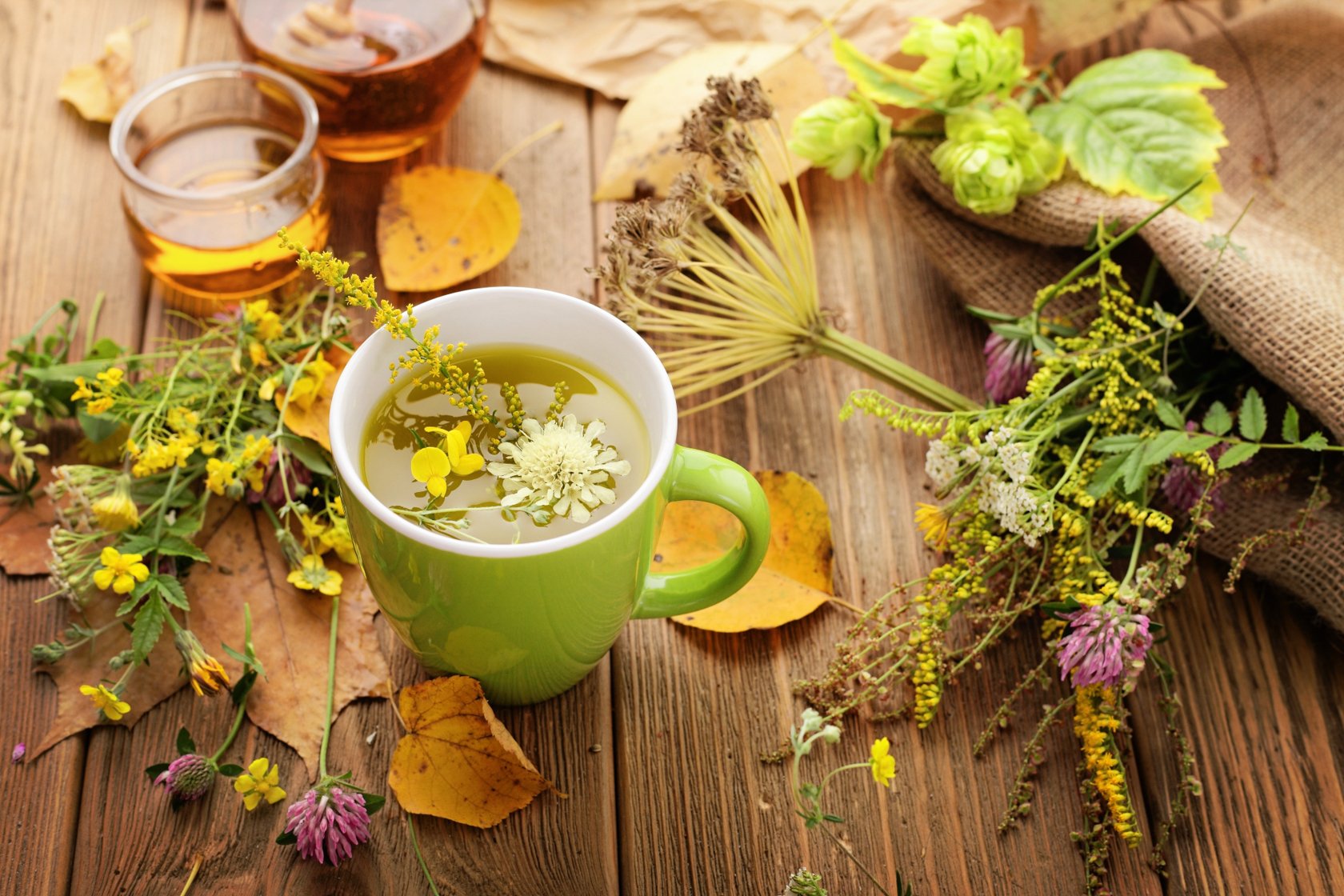 Травяной чай. Целебные травы. Чай из лекарственных растений. Чашка чая с травами.