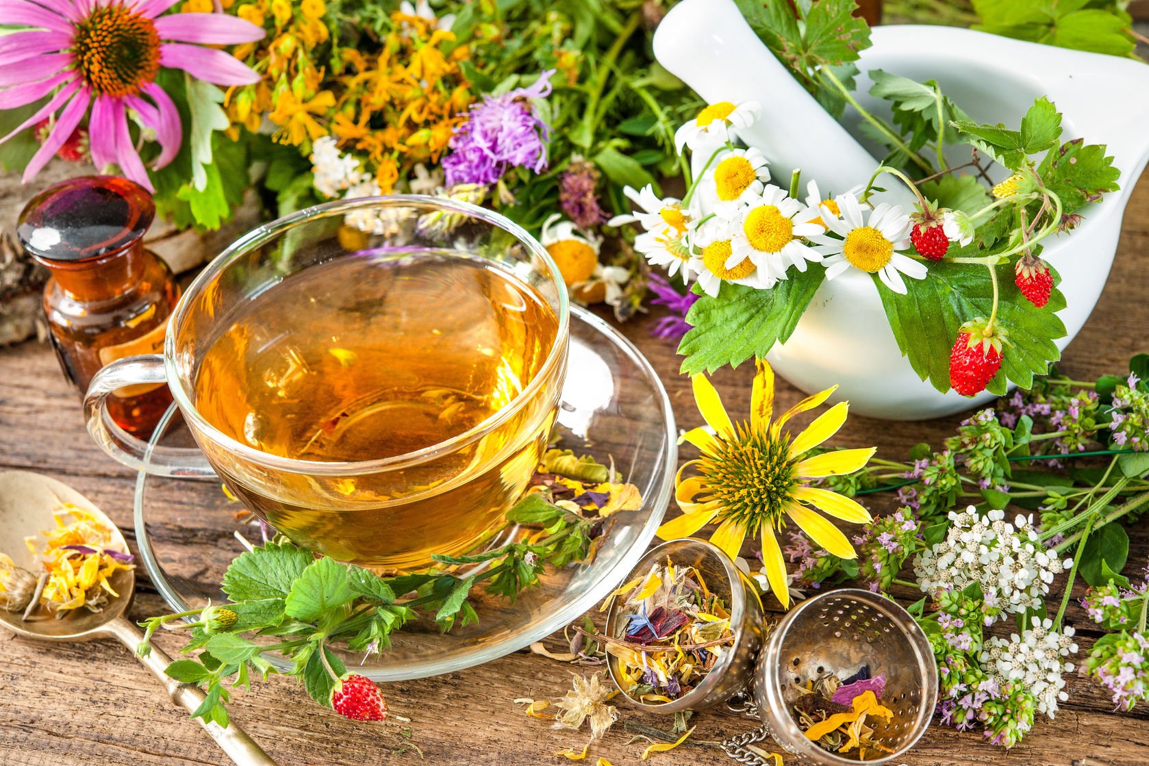 Сбор целебных трав. Травяной чай. Отвар из трав. Фитотерапия лечение травами. Чай с травами.