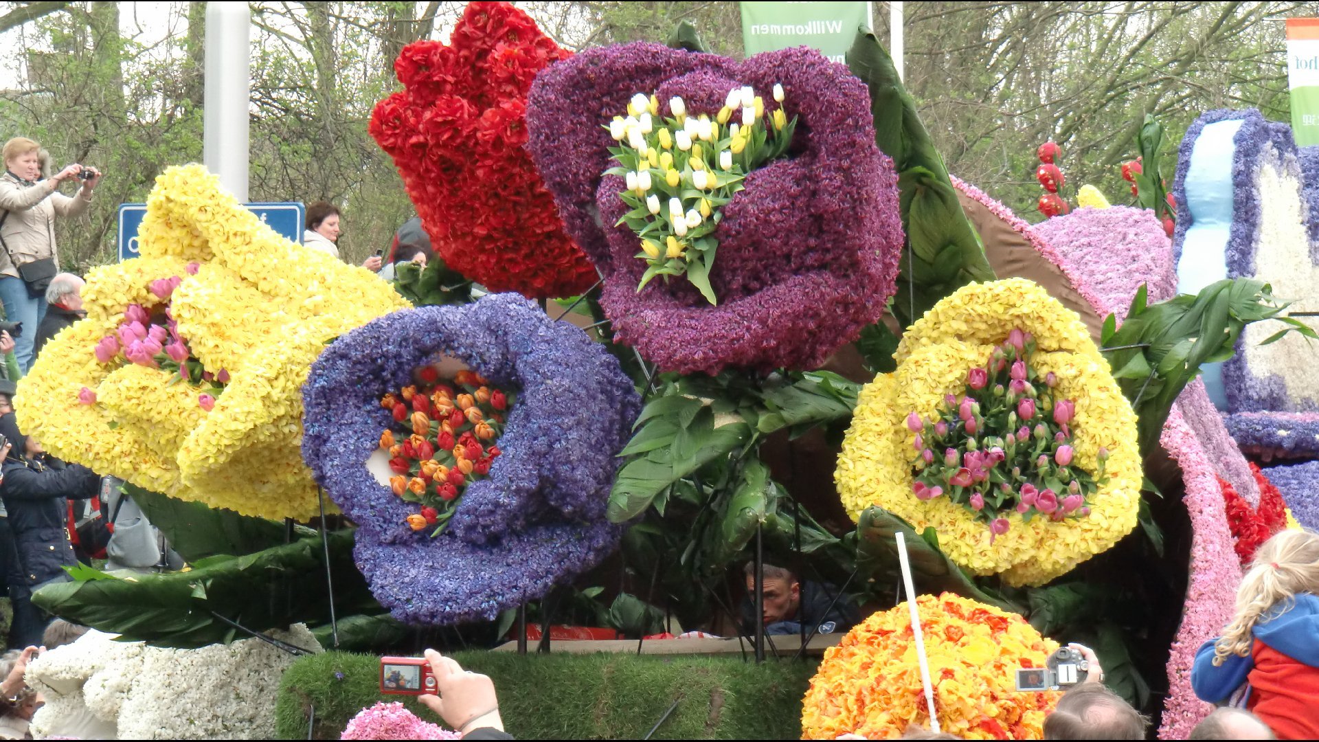 Выставка цветов. Цветочная выставка. Парад цветов в Голландии. Праздник цветов в Голландии. На выставке цветов был сделан