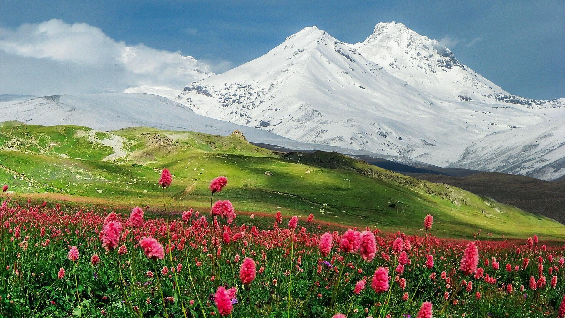 Природный пояс у подножия гор кавказа. Гора Эльбрус Кабардино-Балкария. Кисловодск горы Эльбрус. Северный Кавказ Эльбрус. Кабардино-Балкария природа Эльбрус.