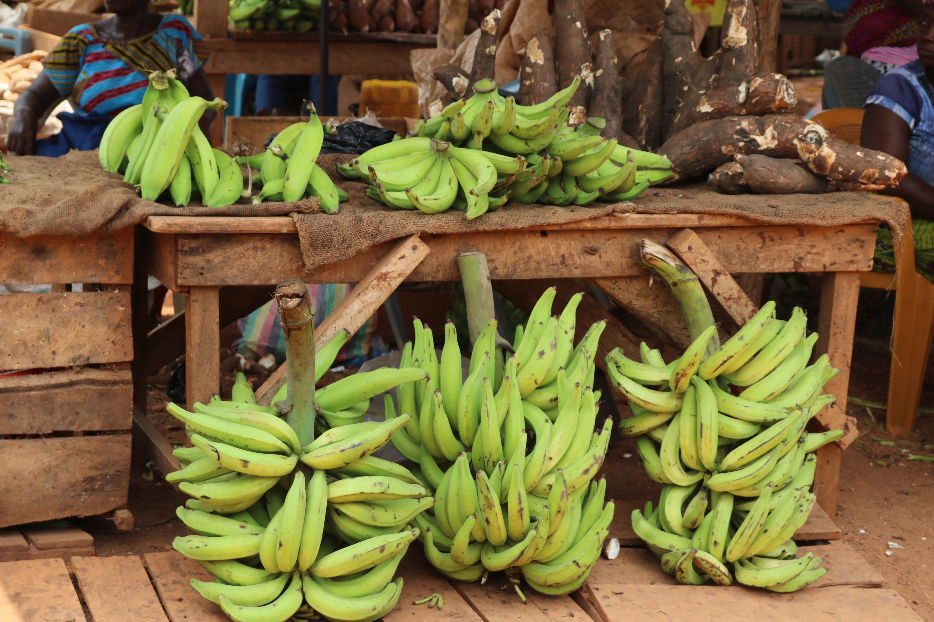 Бананы из африки - 61 фото