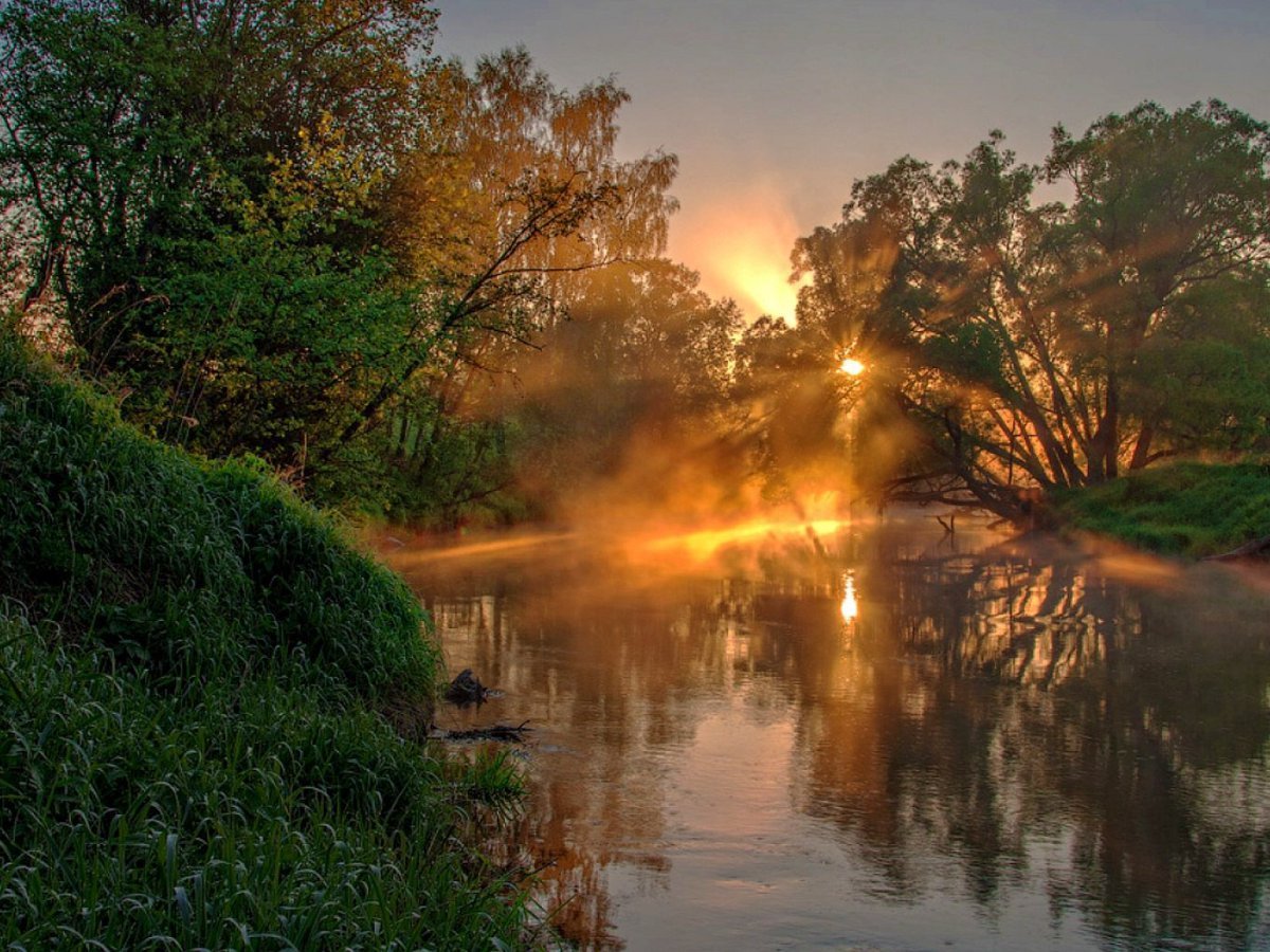 Благодать рекою. Река солнце. Рассвет на реке. Летнее утро на реке. Восход на реке.