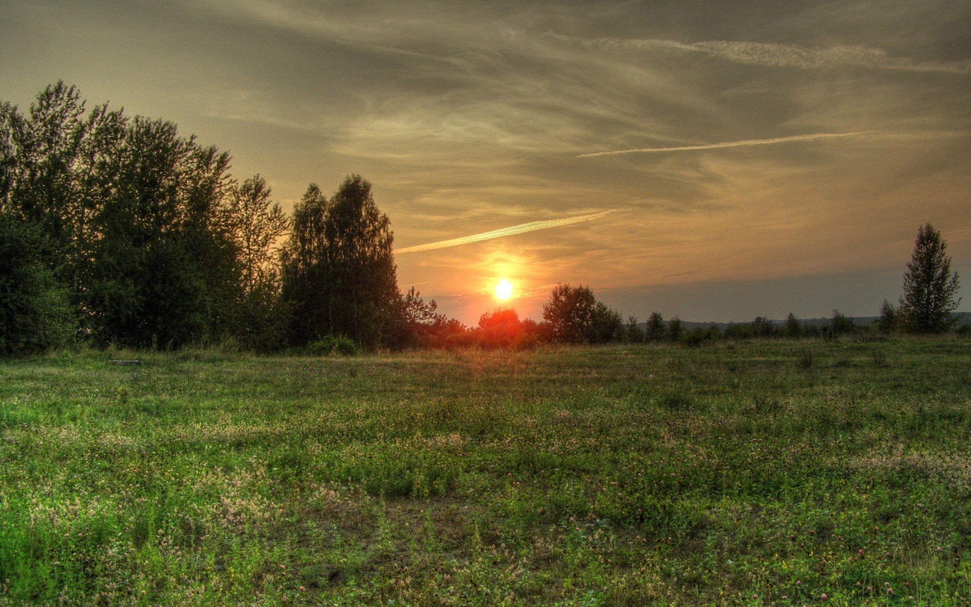 Фото солнце россия. Рассвет в деревне. Природа солнце. Закат. Вечерняя природа.