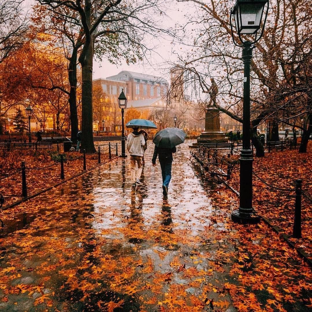 Анализ осенний дождь. Осень дождь. Осень в городе. Дождливая осень в городе. Осенний город.