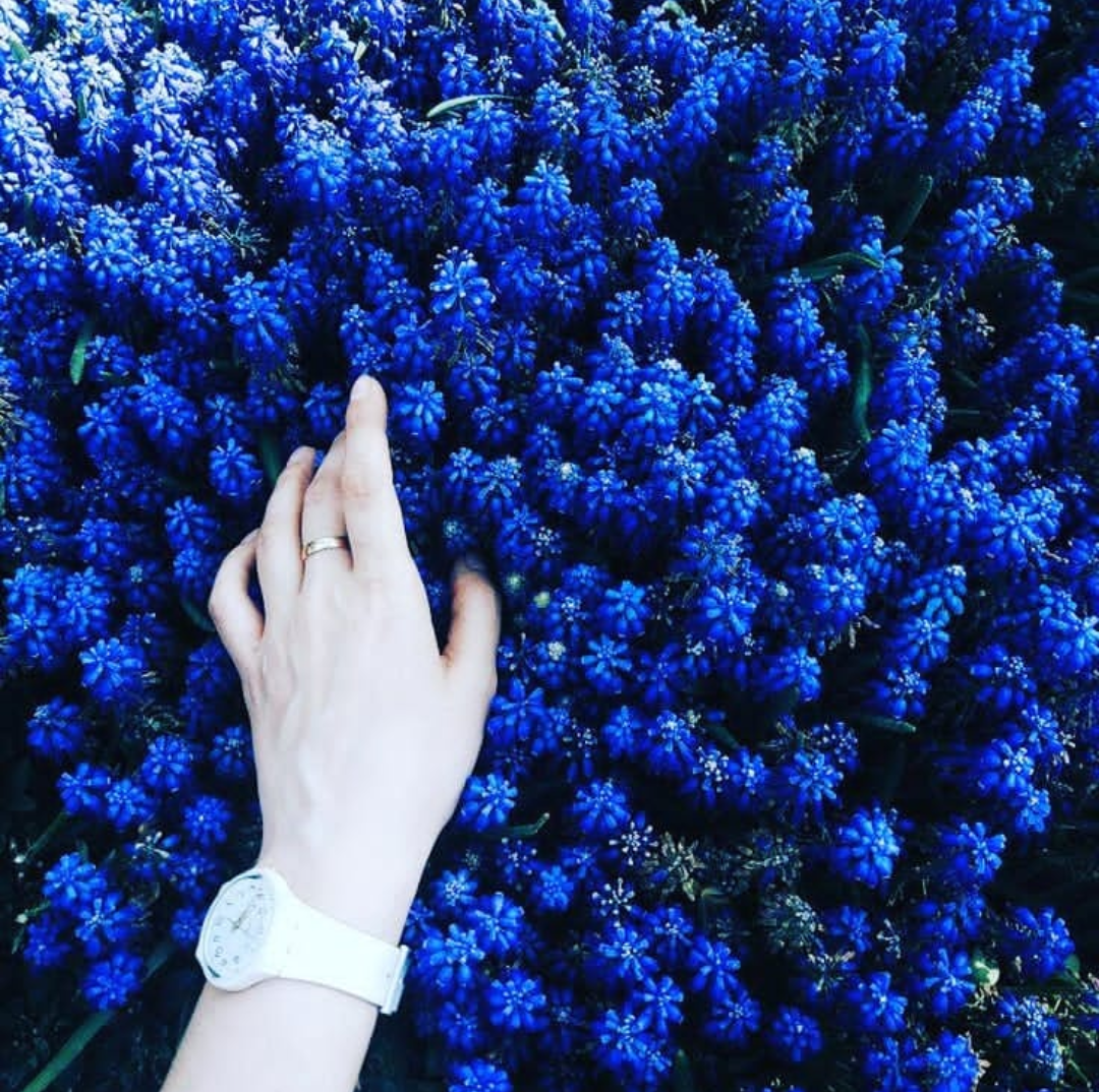 Девушка с синим цветом. Синие цветы. Эстетика синего цвета. Цветы синего цвета. Эстетика синего и голубого.
