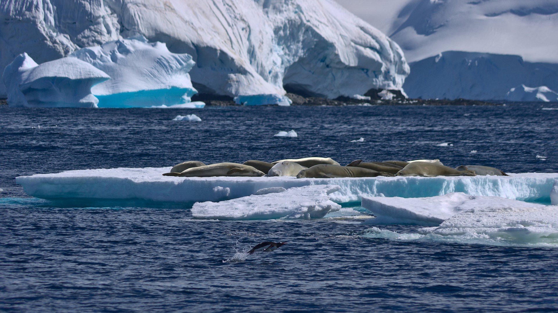 Южный океан природа. Росса Антарктида. Побережье Антарктиды. Антарктический океан. Арктические и антарктические пустыни.