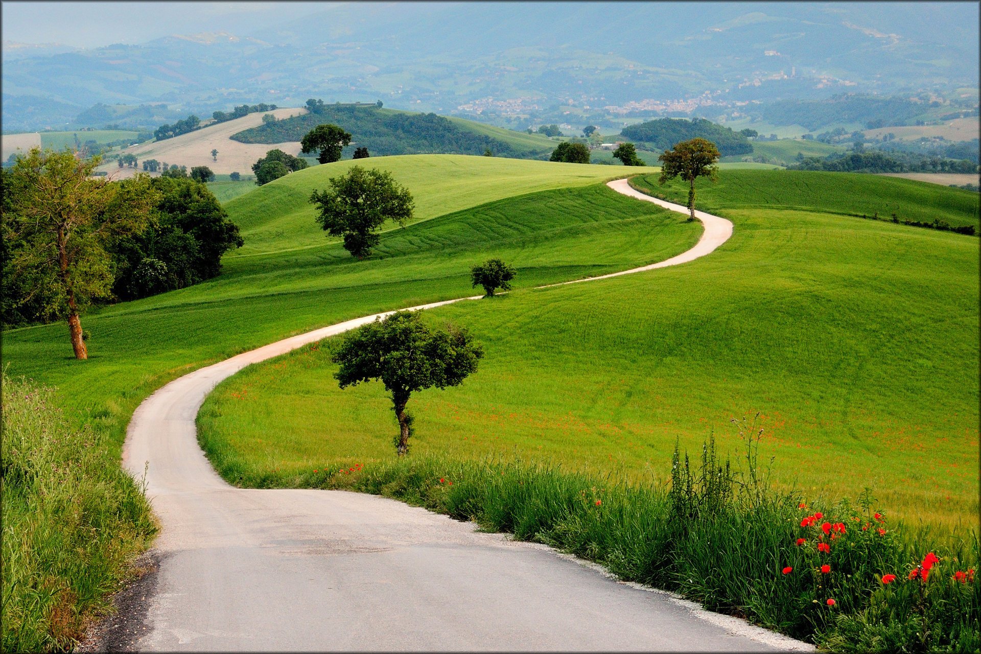 Countryside walks. Green Hills зеленые холмы. Зеленые холмы Калифорнии. Холмистая равнина Тоскана.