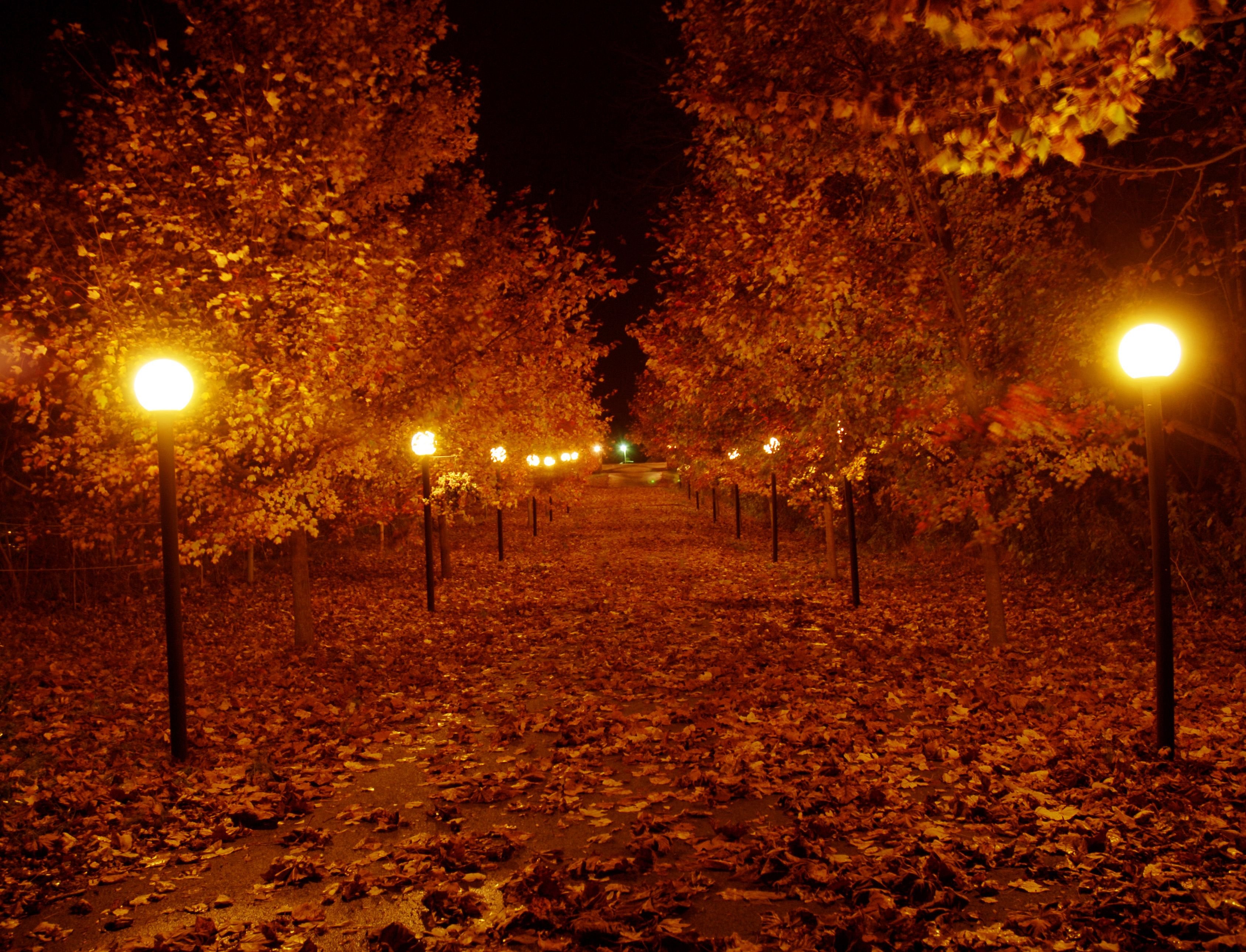 Осенний вечер октября. Осень вечер. Осенний вечер. Осенняя ночь. Осень вечер парк.