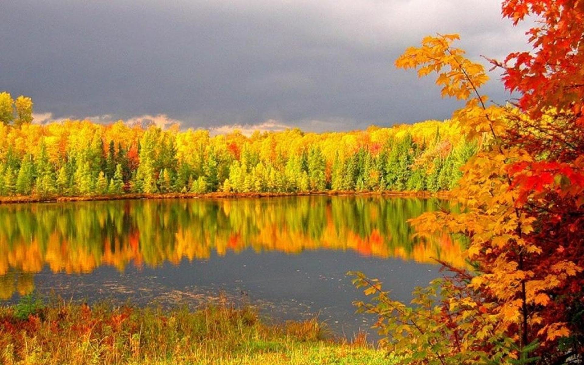 Осенние пейзажи осени. Осень. Осенняя природа. Золотая осень. Природа осень.