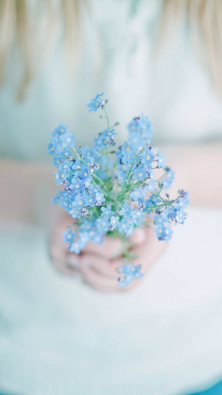 Нежно голубые цветы. Букет незабудок. Красивый букет незабудок. Нежный цветок.