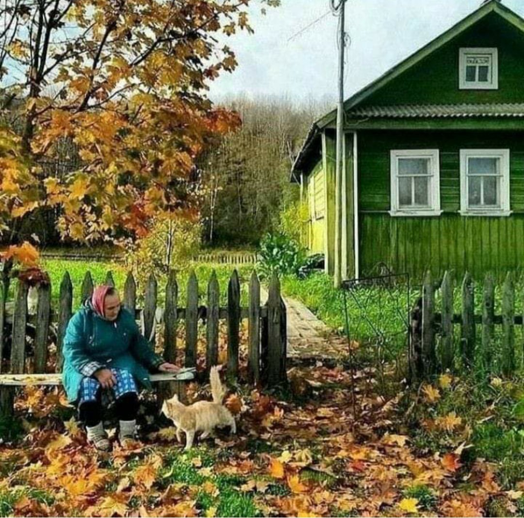 Про деревню россия. Осень в деревне. Деревня осенью. Осен ДИРИВНЯ. Золотая осень в деревне.