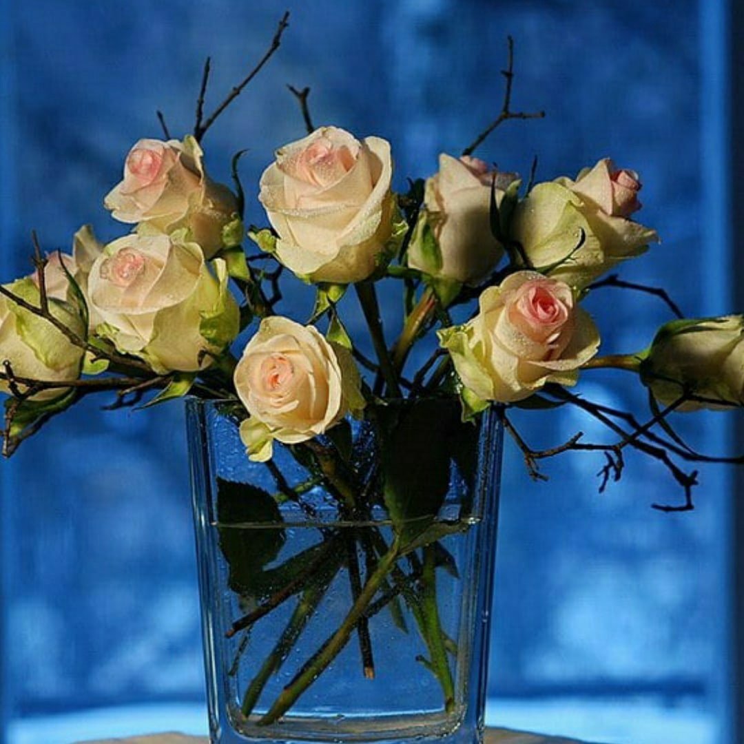 Розы букет вечер. Цветы вечер. Вечерние розы. Вечерний букет цветов. Красивые вечерние розы.