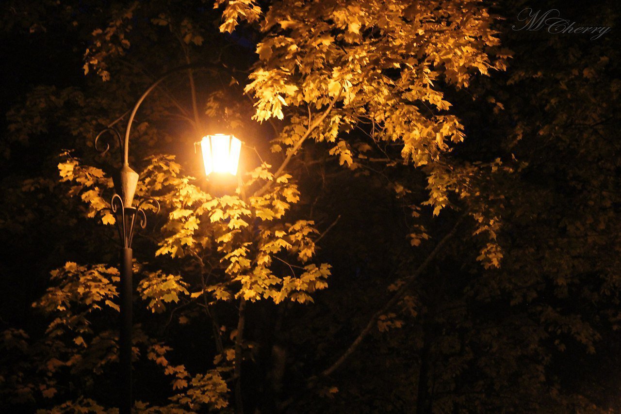 Осенним вечером случилось мне. Осень вечер. Осень ночь. Осенний вечер. Тихой осенней ночи.