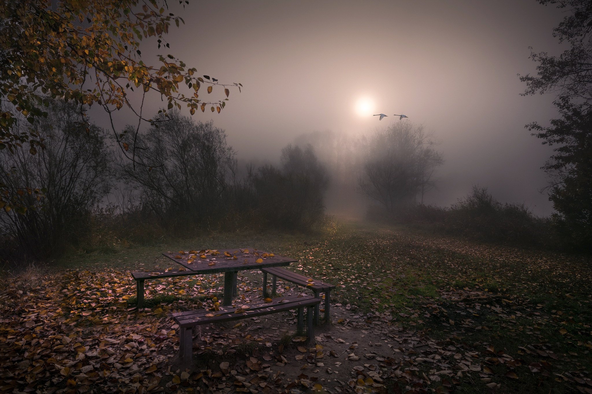 Полна тайн хмурая тишина зимнего. Хмурая осень. Унылый пейзаж. Осенняя ночь. Осенний вечер.