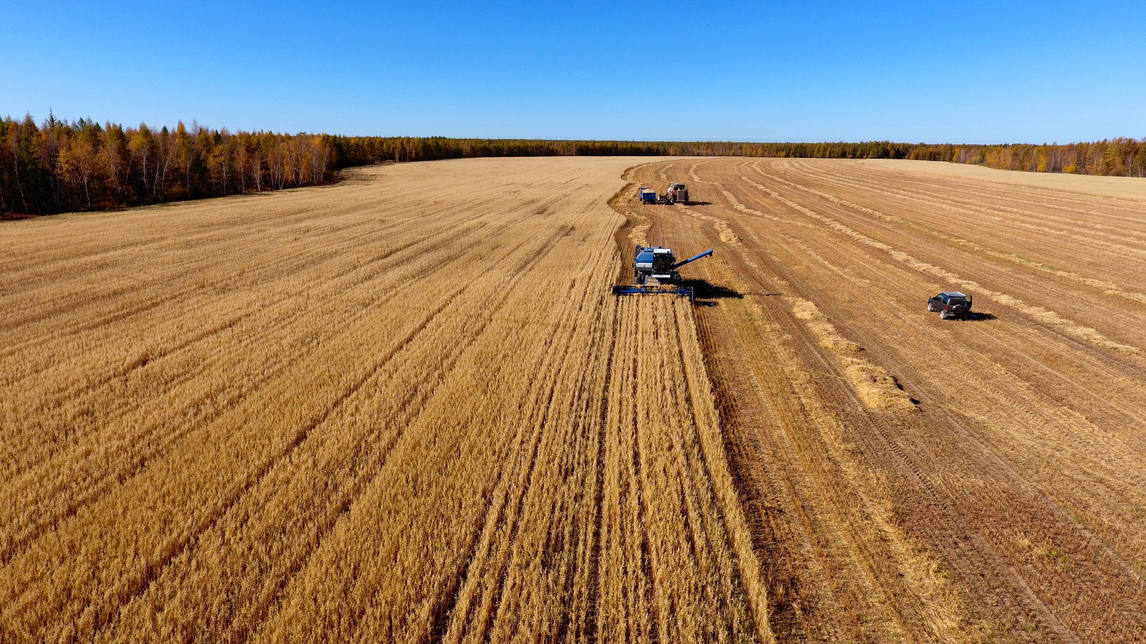 Пшеничная площадь. Вспаханное поле. Сельскохозяйственные поля. Поле пшеницы. Трактор в поле.