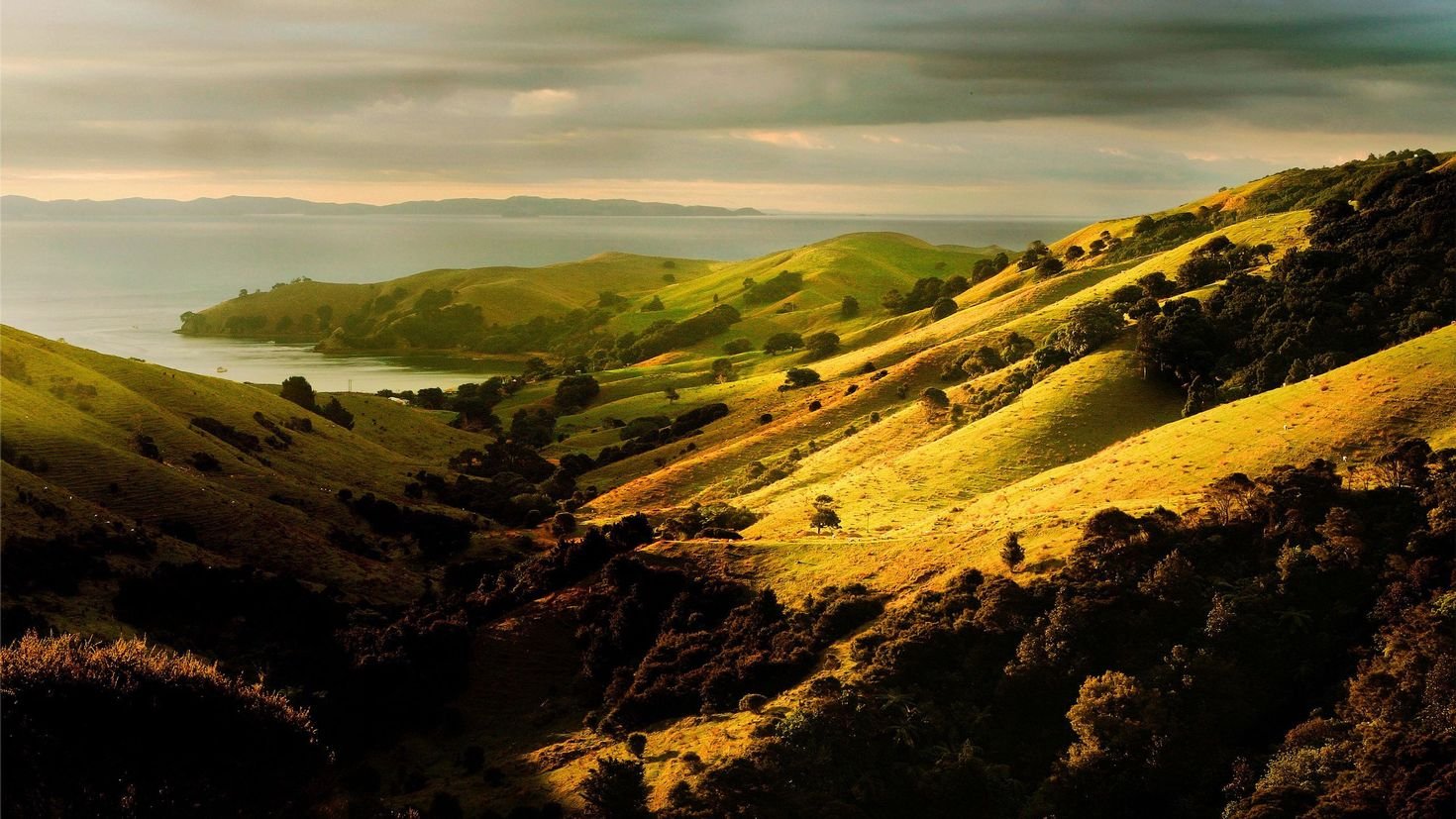 Под холмом. Молдова природа холмы. Холмы Такака, новая Зеландия. Новая Зеландия зеленые холмы. Холмистые равнины Великобритании.