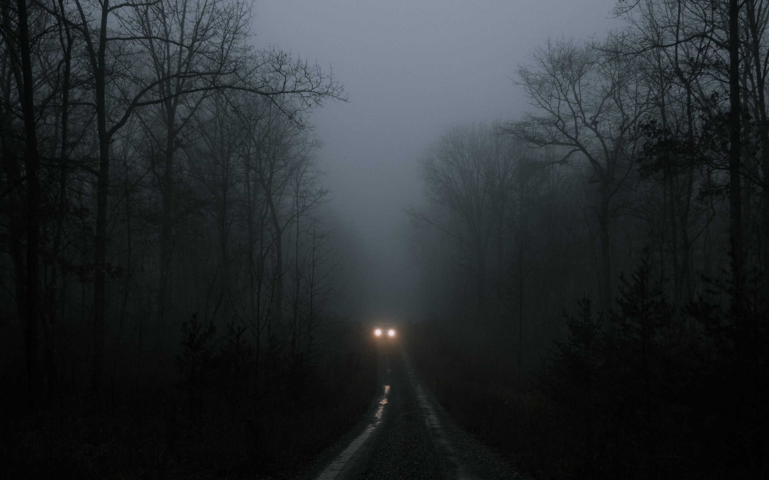 Мрачно сияет. Мрачный лес. Дорога в тумане. Туман ночью. Лесная дорога ночью.