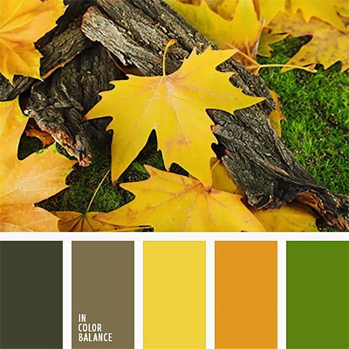 Коричневая желтая оранжевая серая. Цветовая палитра. Желто зеленая гамма цветов. Осенние сочетания цветов. Сочетание желтого и коричневого.