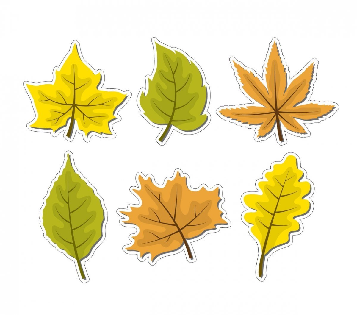 Рисунки листьев. Осенние листья. Листочки для скрапбукинга. Фигура листочек. Листья для оформления класса