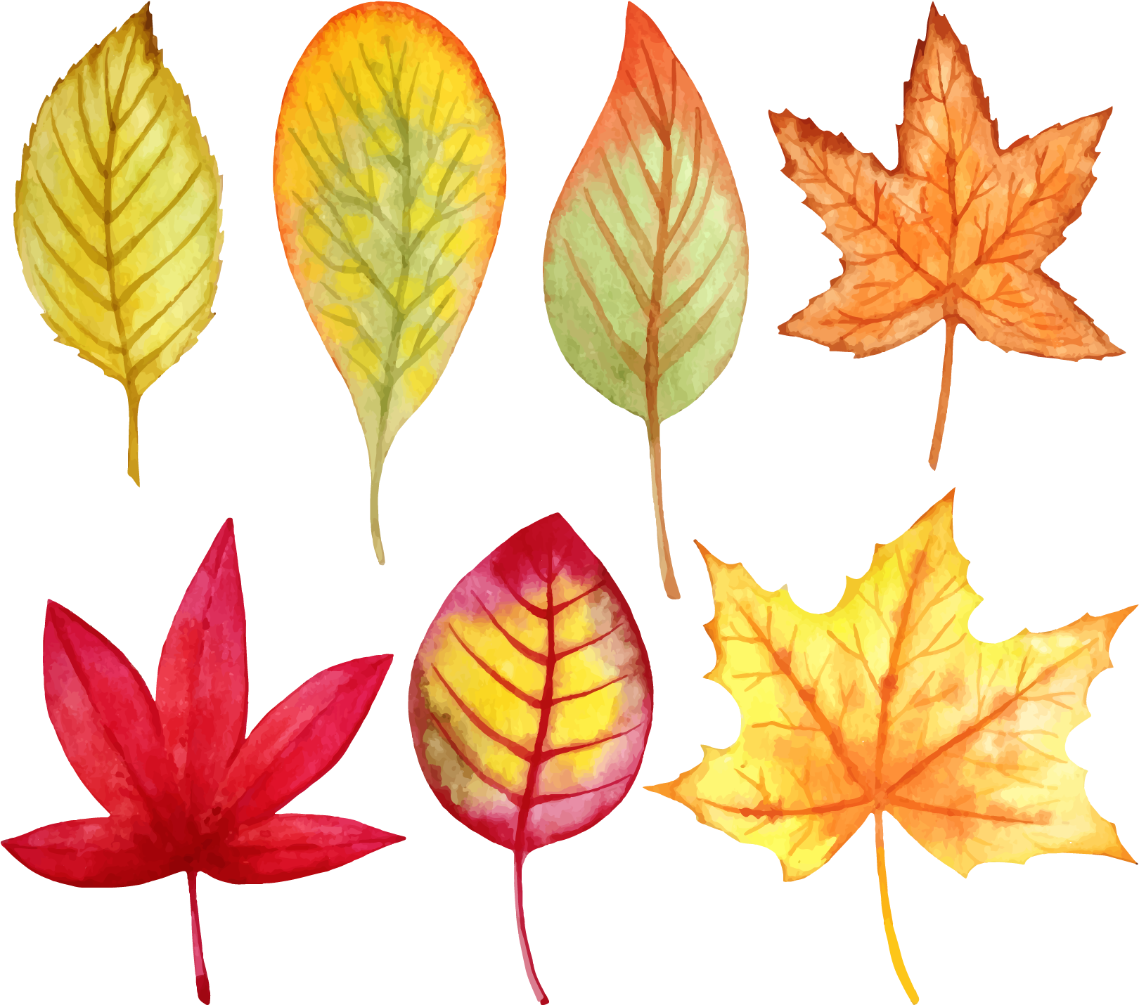 Рисование листочки. Листики осенние. Осенние листья акварель. Разноцветные листья. Рисование осенних листьев.