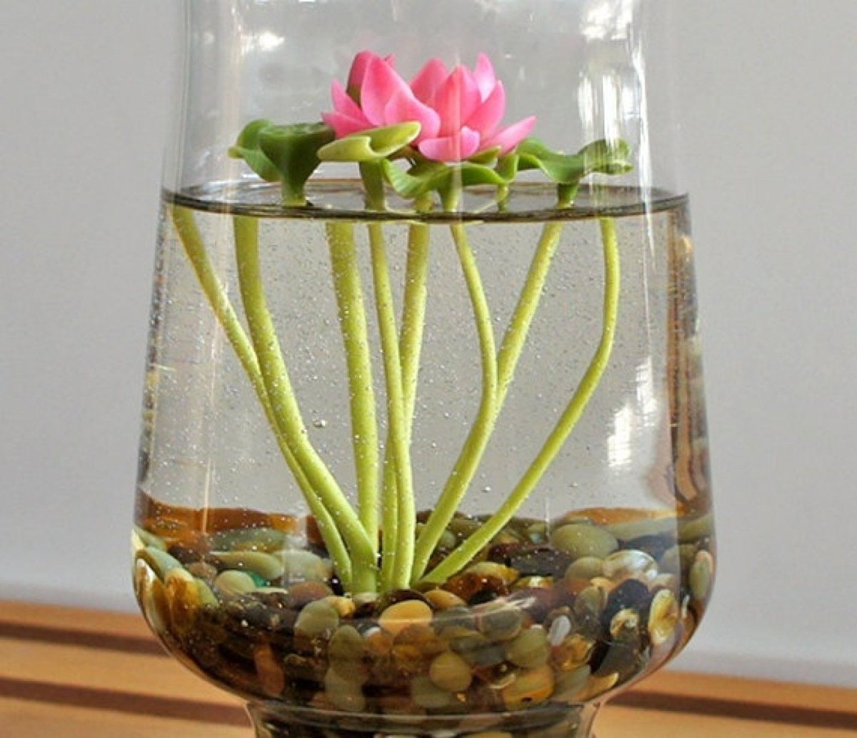 Замиокулькас флорариум. Комнатные растения в аквариуме без воды. Водные растения в вазе. Комнатные растения в стеклянных вазах.