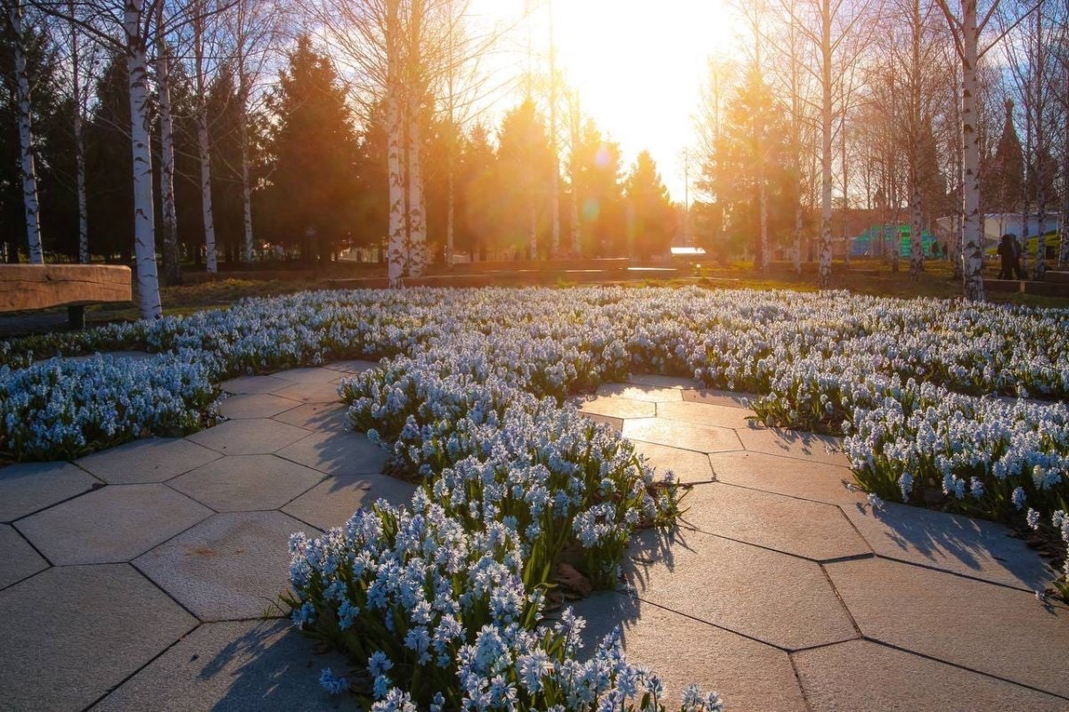 Места для прогулок в москве весной. Парк Зарядье 2022. Парк Зарядье цветы. Цветы в Зарядье 2022.