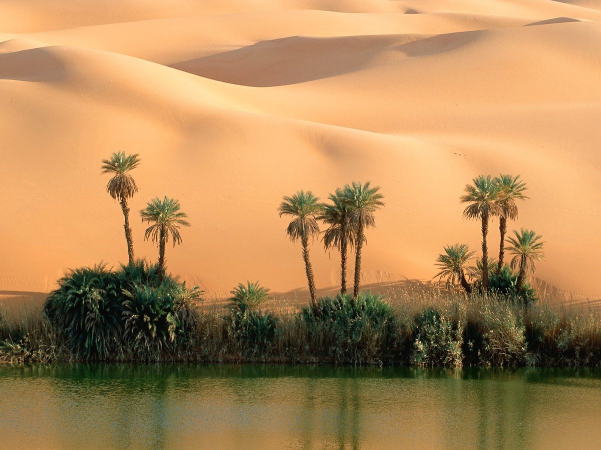 Воды восточной африки. Оазис Убари Ливия. Барханы Оазис Саудовская Аравия. Озера Убари Ливия. Оазис Убари в пустыне.
