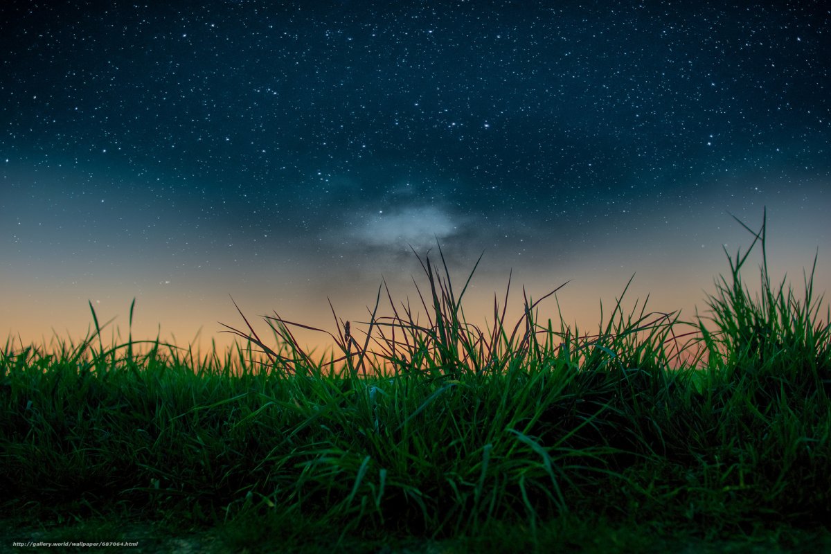 Звездное небо в поле. Ночное поле. Трава ночью. Поле ночью. Луг ночью.