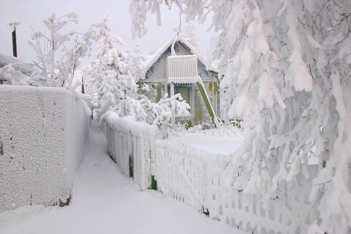 Засыпаны снегом ели. Зима много снега. Белый домик в снегу. Дом занесло снегом. Много снега в деревне.