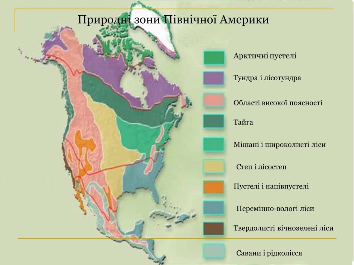 Природные зоны северной америки презентация 7 класс. Растения степей Северной Америки. Почвы Евразии. Карта почв Евразии. Растения из Америки в Европу.