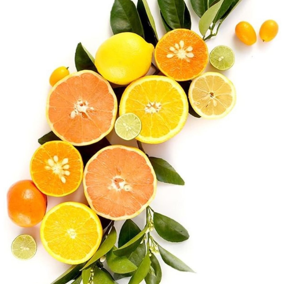 Фруктово цитрусовый. Цитрус мевалар. Цитрус апельсин грейпфрут. Грейпфрут апельсин лимон лайм. Грейпфрут, мандарин, лайм.