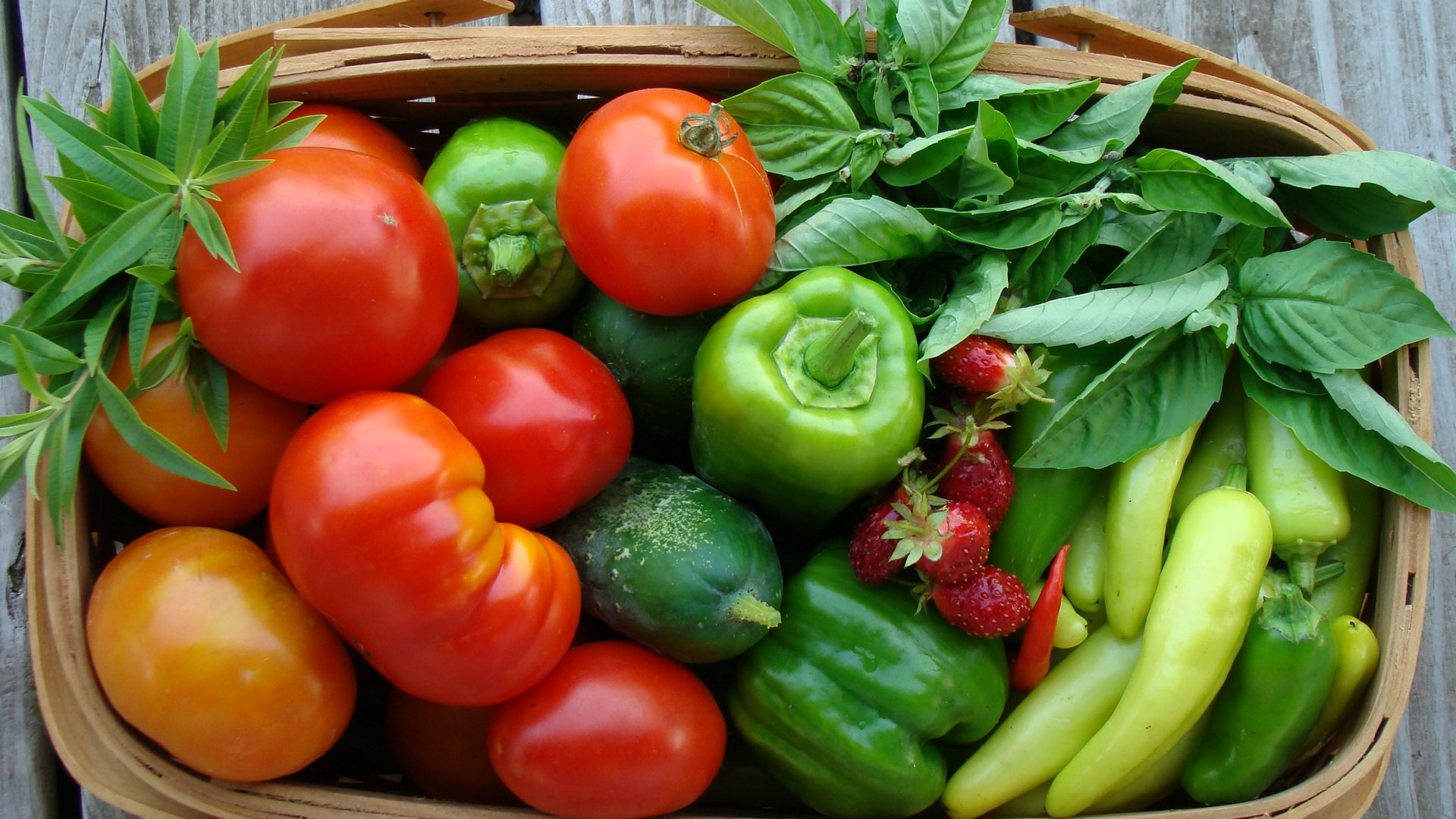 Тепличные овощи. Свежие овощи. Овощные культуры. Овощи на грядке.
