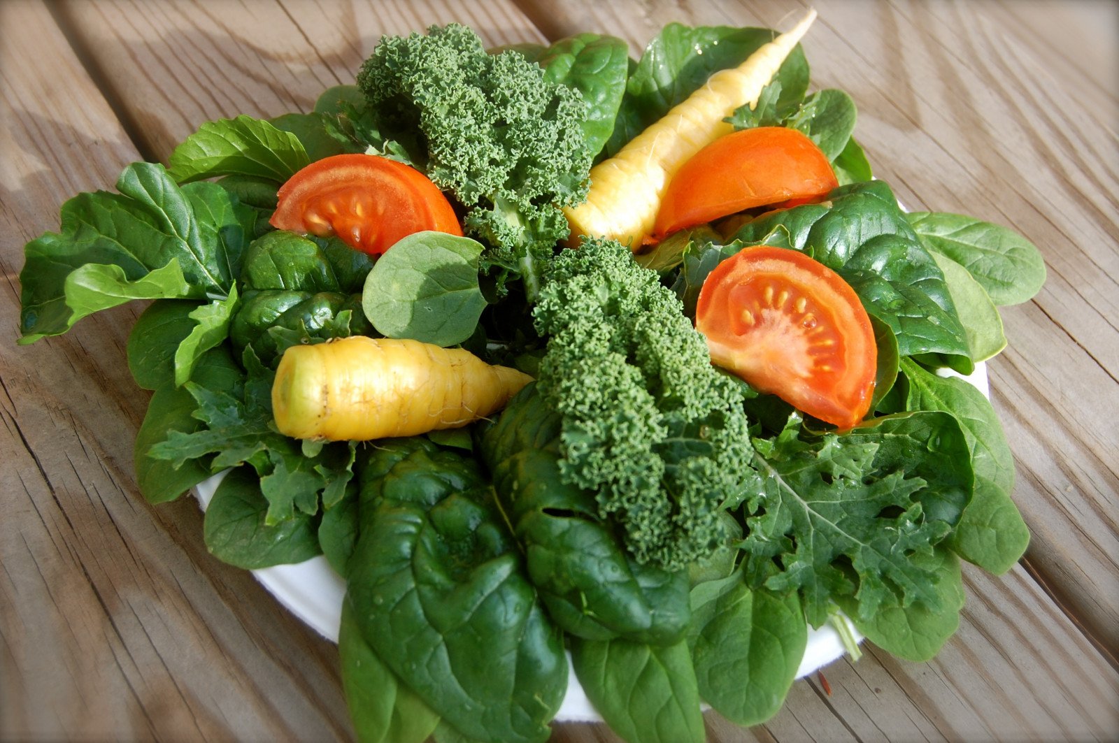 Листовые овощи. Овощи и зелень. Свежие овощи. Зелень для салатов.