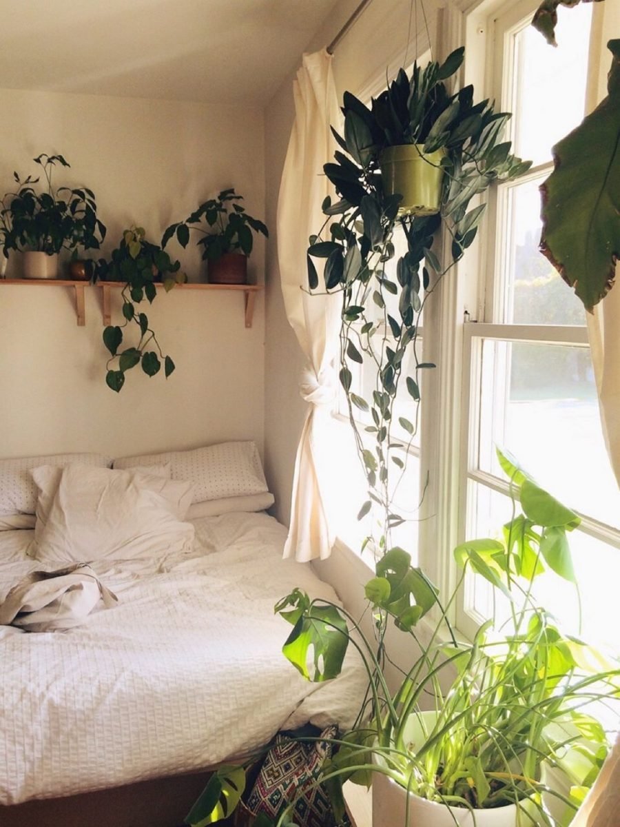 Комната с растениями. Комнатные цветы в Интер. Растения в интерьере спальни. Цветы в комнате интерьер.