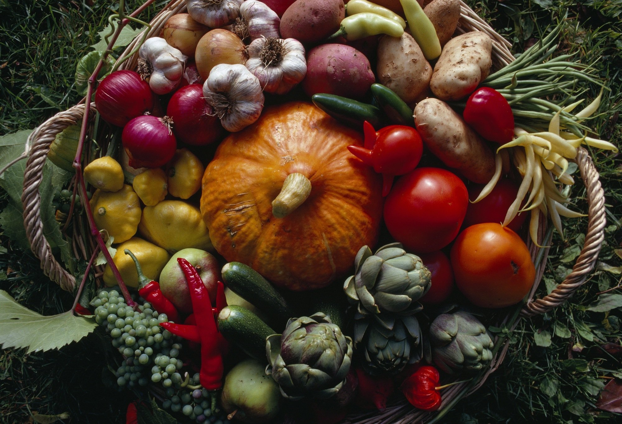 Овощи ноябрь. Осенние овощи и фрукты. Осень овощи. Овощи и фрукты осенью. Плоды и овощи.