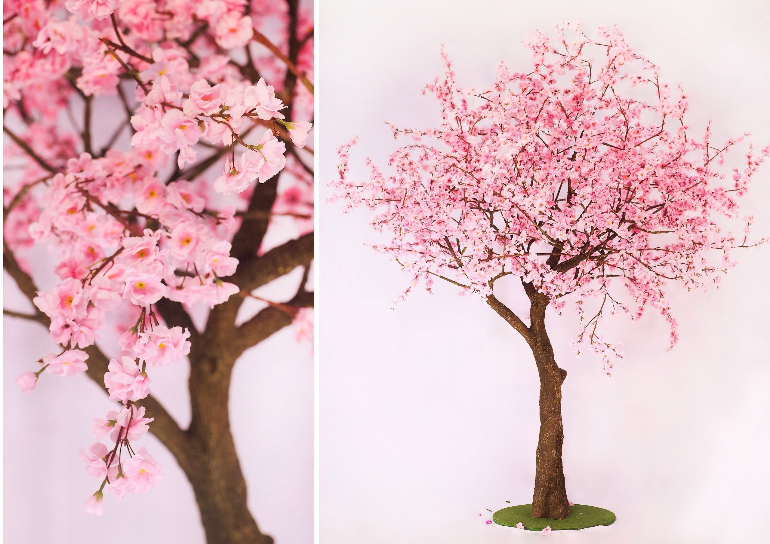 Розовое дерево без листьев. Сакура Мидори дерево. Искусственное дерево Сакура. Дерево Сакура искусственное 3м. Рост Сакуры дерева.