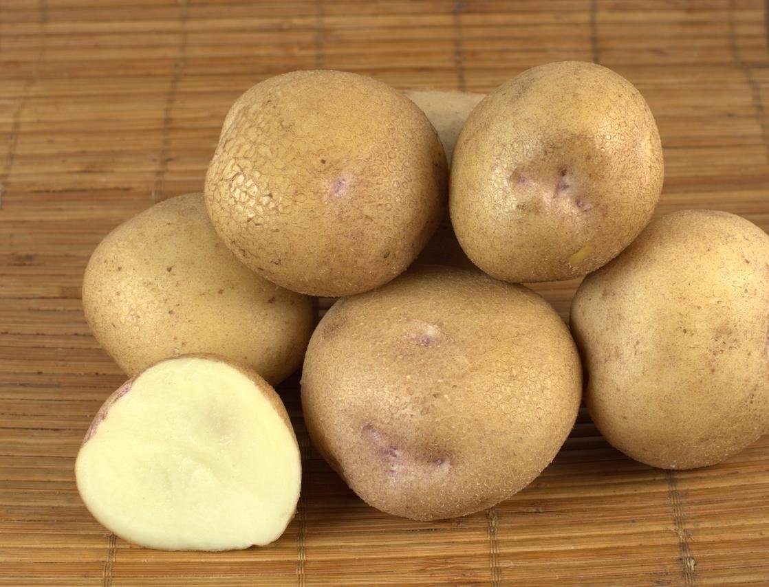 Картофель округлой формы. Картофель Синеглазка элита. Картофель семенной Синеглазка. Семена картофеля Синеглазка. Сорт картофеля Синеглазка.