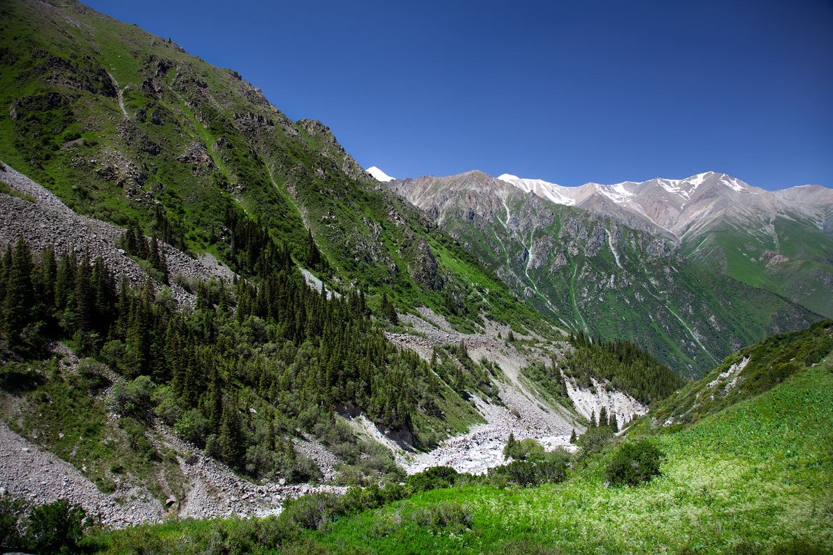Парк ала арча. Национальный парк ала-Арча Киргизия. Ала Арчинское ущелье Киргизия. Ущелье ала-Арча Киргизия. Природный парк ала Арча Кыргызстан.