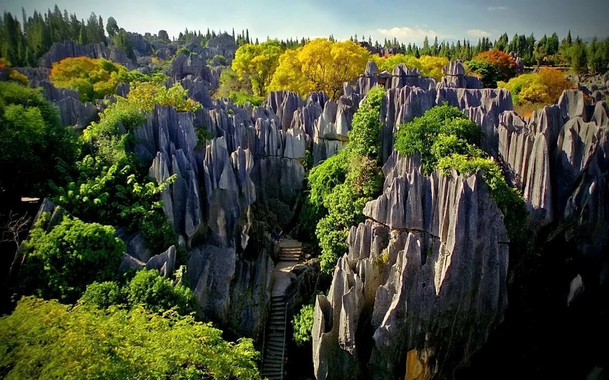 Самый красивый национальный. Каменный лес Шилинь Китай. Национальный парк Шилинь (каменный лес). Каменный лес Шилинь (Shilin), Китай. Китай национальный парк Шилинь.