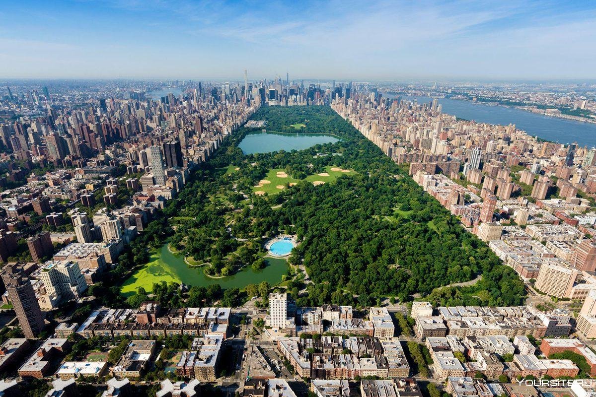 Централ парк Нью-Йорк. Централ парк Нью-Йорк площадь. Нью-Йорк Манхэттен Центральный парк. Грин парк Нью Йорк. My new park