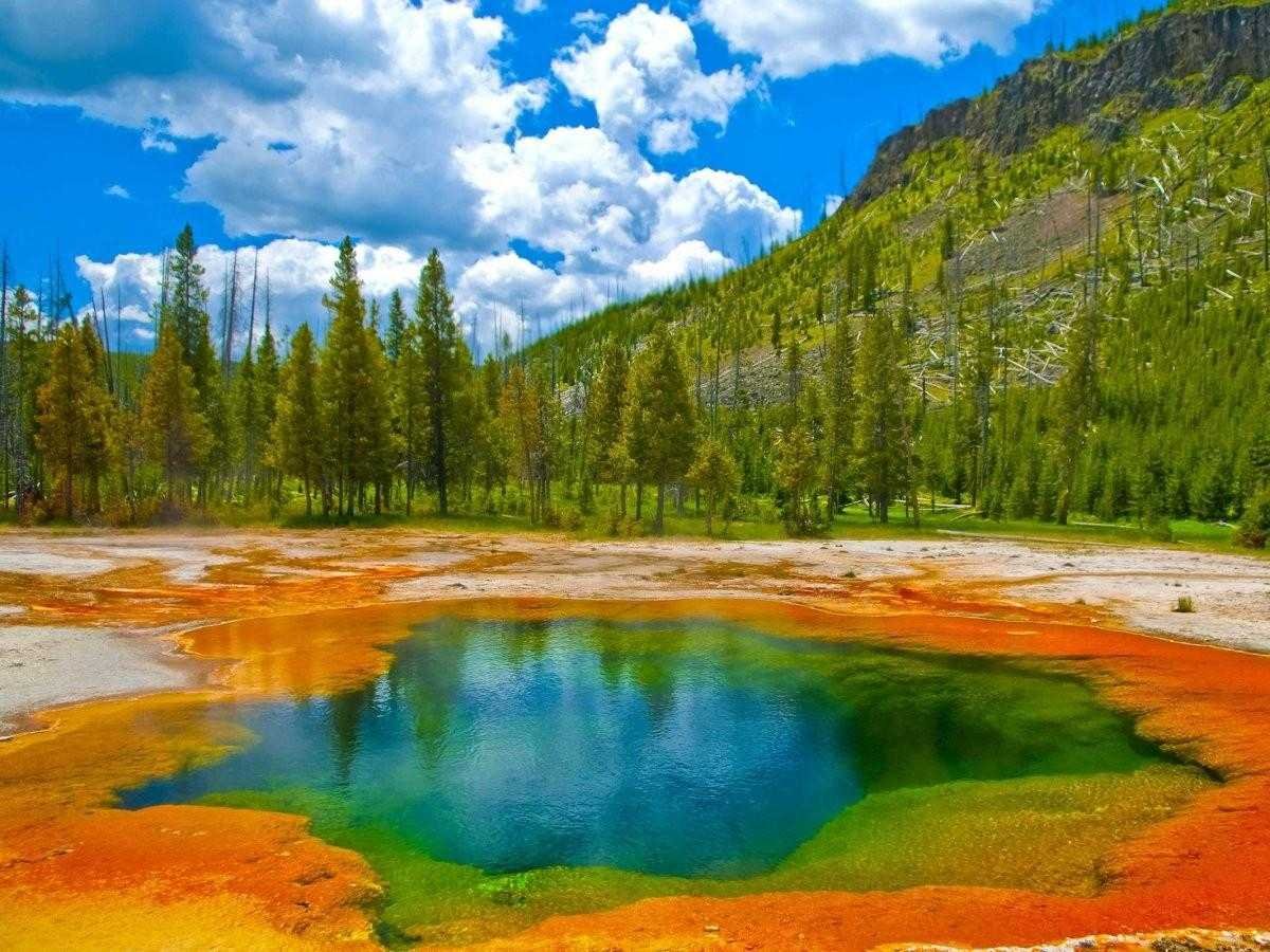Первый национальный парк был создан. Йеллоустонский национальный парк США. Национальный парк Yellowstone США. Национальный парк Йеллоустоун -Yellowstone Park. Национальный парк Йеллоустоун (Вайоминг, Монтана, Айдахо).