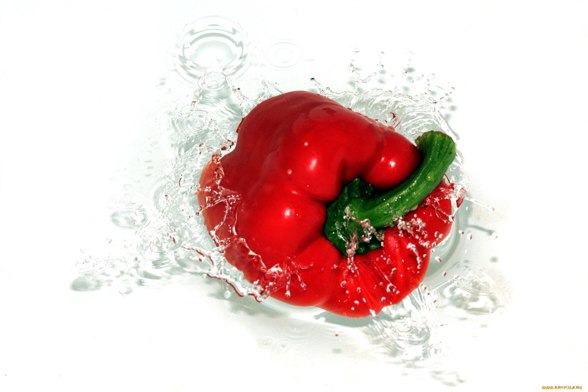 Water pepper. Болгарский перец. Красный перец. Перец болгарский красный. Сочные фрукты.