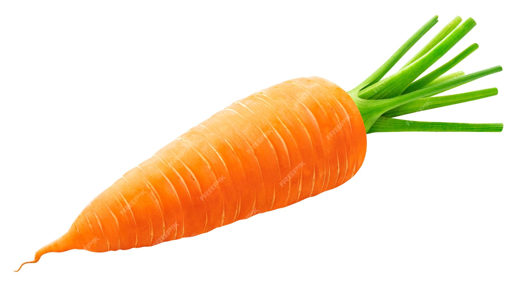 Включи морковь про новый. Морковь на белом фоне. Морковка на белом фоне. Морковь одна. Морковь картинка.