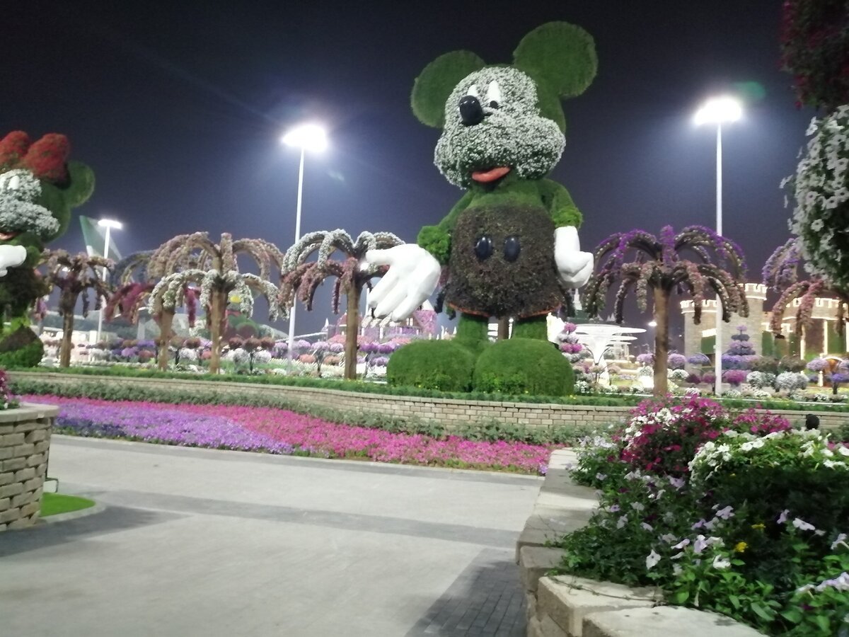Дубайский парк. Цветочный парк в Дубае. Крикет парк Дубай. Дубай парк цветов 2022. Garden Park Дубай.